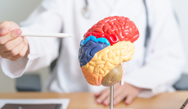 Como a ciência explica o poder da disciplina e da força de vontade