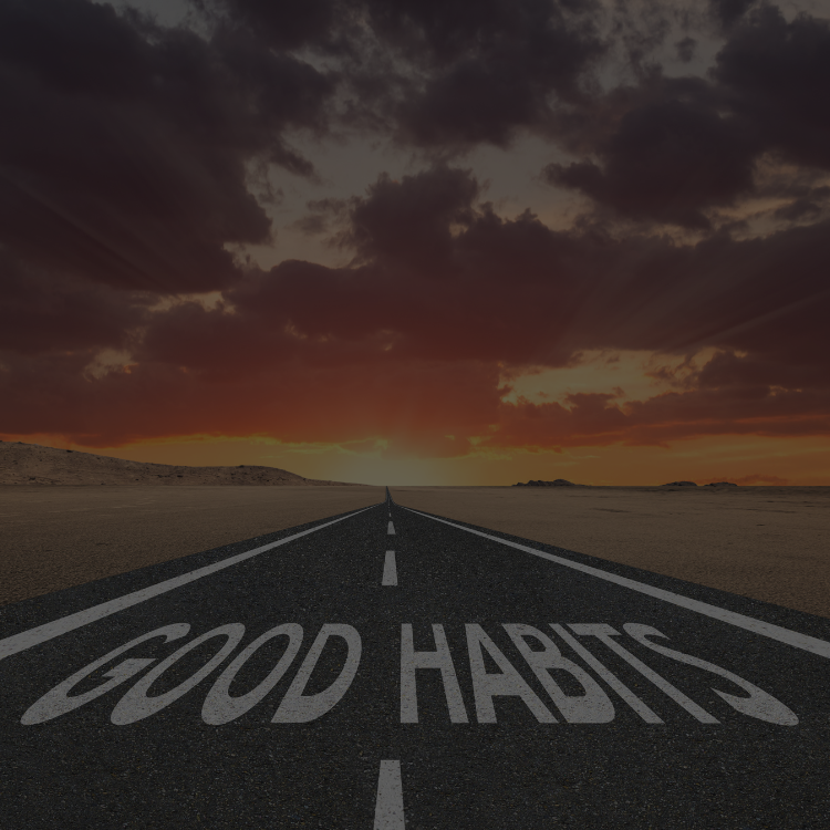 Hábitos saudáveis a longo prazo