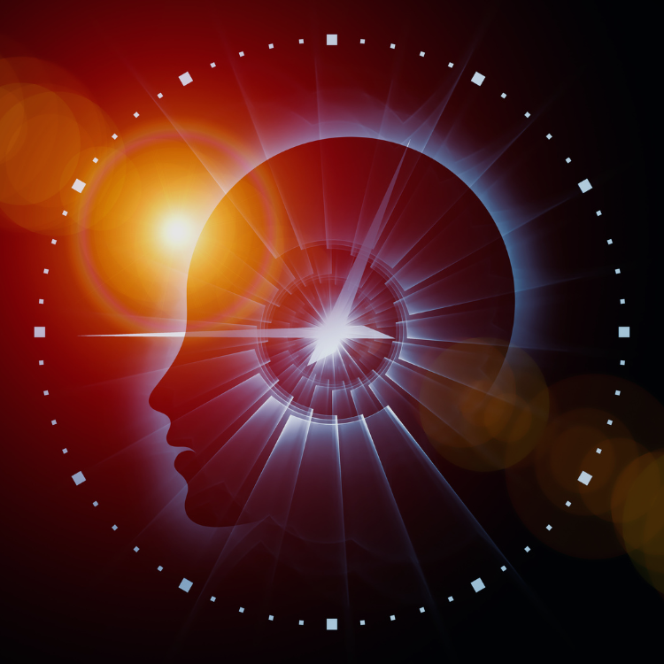 Mindfulness: o que é, para que serve e como apicar na sua rotina