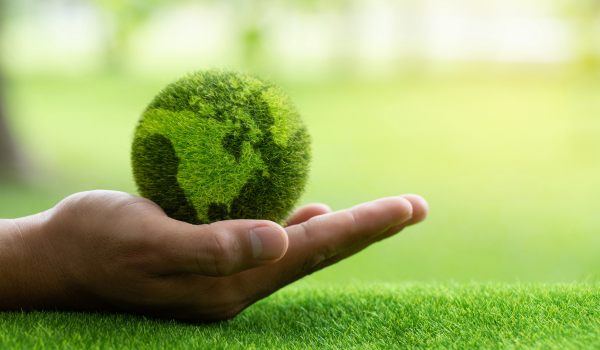 Alimentos detox e sustentabilidade