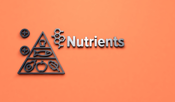 Nutrientes