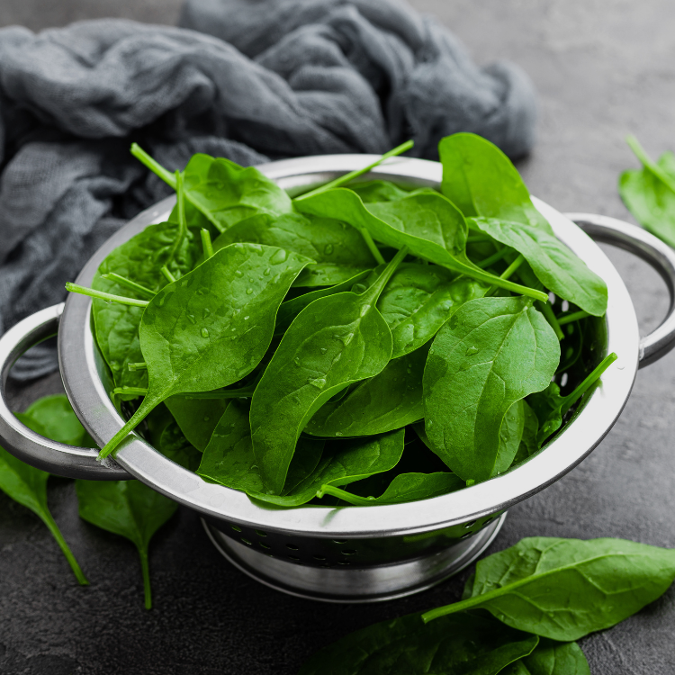 Alimentos ricos em ferro