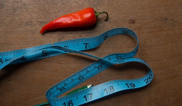 Impacto da alimentação termogênica na saúde